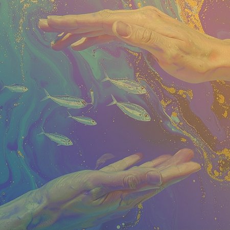 Protecteurs de l'océan